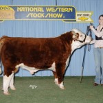 2006nwss